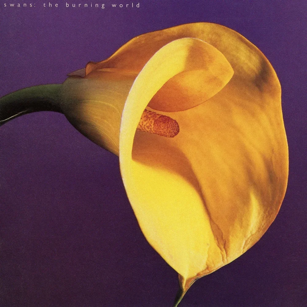 The Burning World - Swans