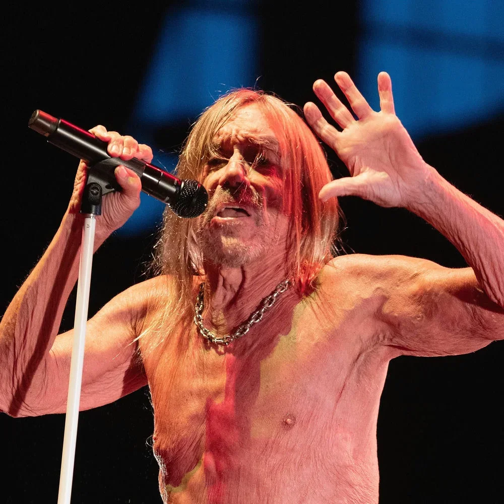 Iggy Pop portrait