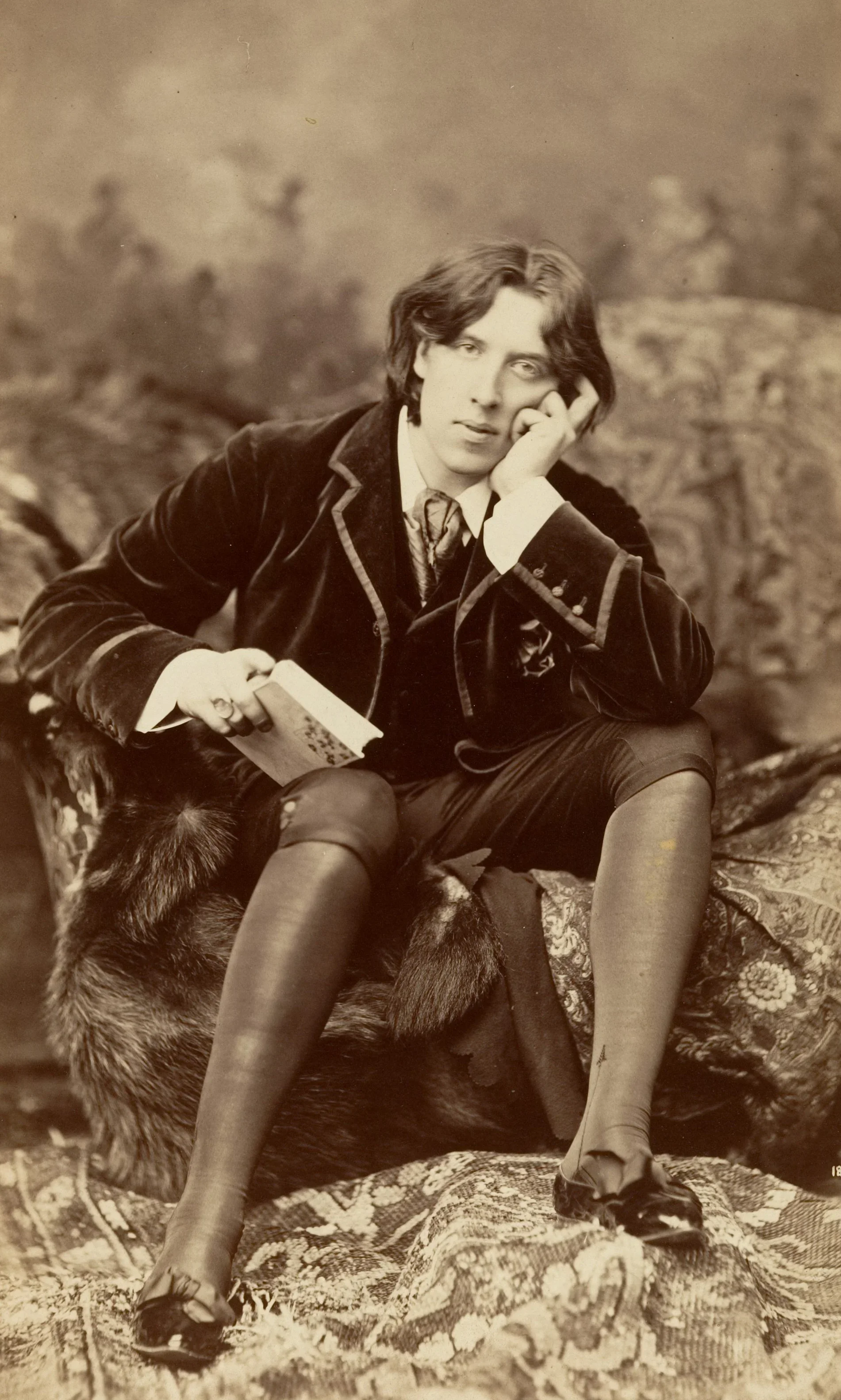 Photograph of Oscar Wilde by Napoleon Sarony, 1882