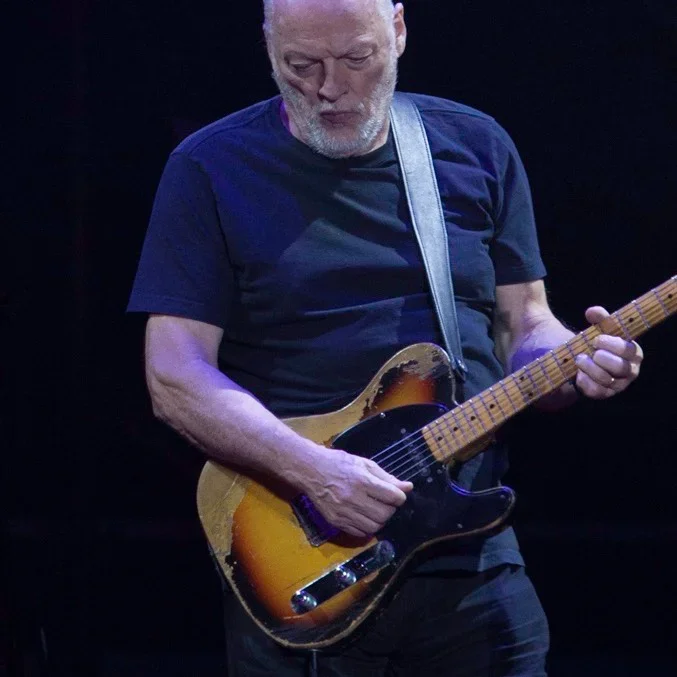 David Gilmour performing live in Argentina, 2015